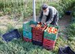 Άγιο Όρος: Διατροφή και Μακροζωία agio oros