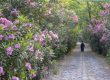 Mount Athos Prayer is able to bring a man to the house of the Kingdom Don’t worship idols in your heart