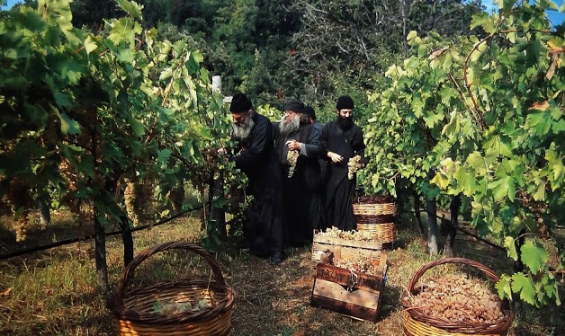 Athos Wine tradition